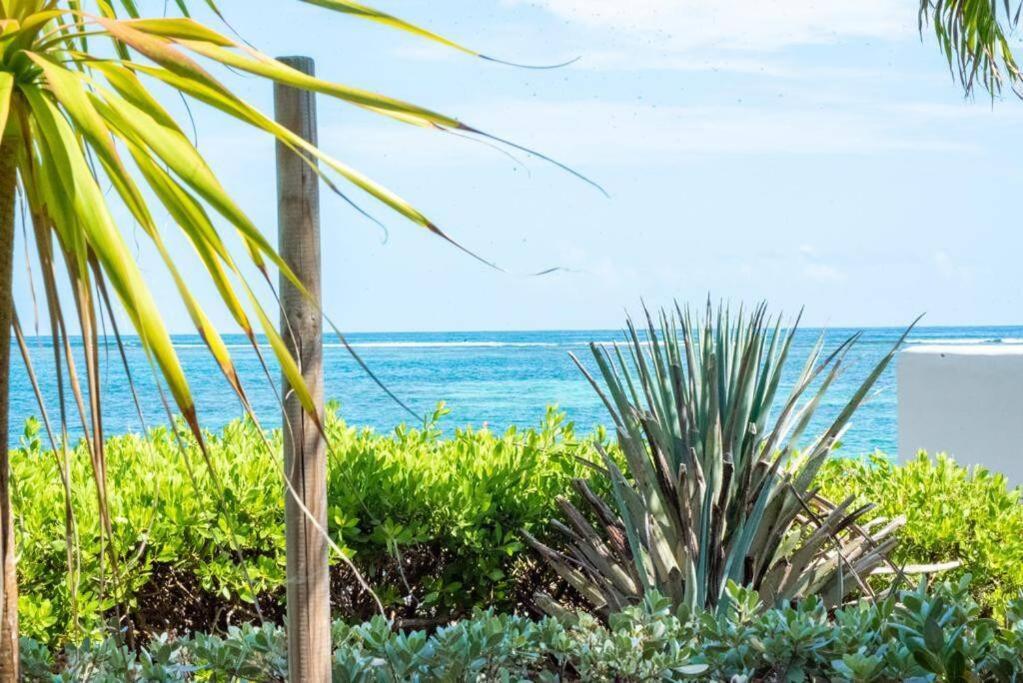 Apartament Pasha - Ocean View Sainte-Anne  Zewnętrze zdjęcie